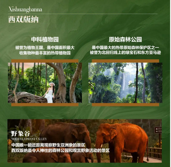 e6853360e349a6df94cd7cf39ef549e6