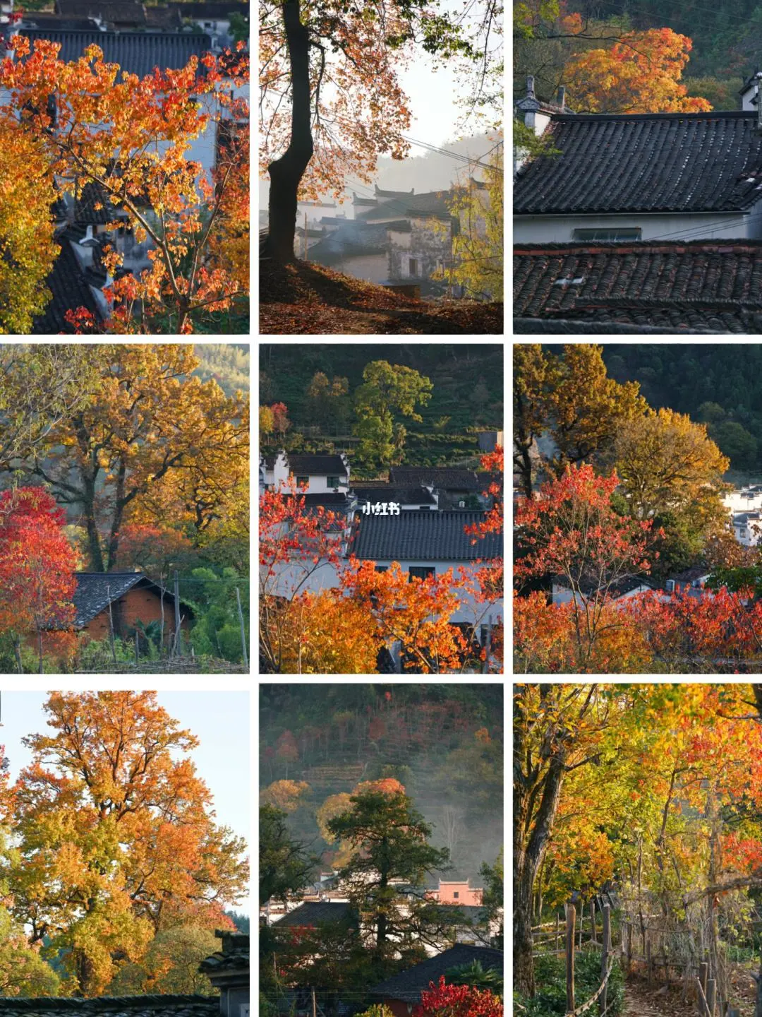 e6d13a080fc1e3389772b1bcd9b28b53-sz_390073