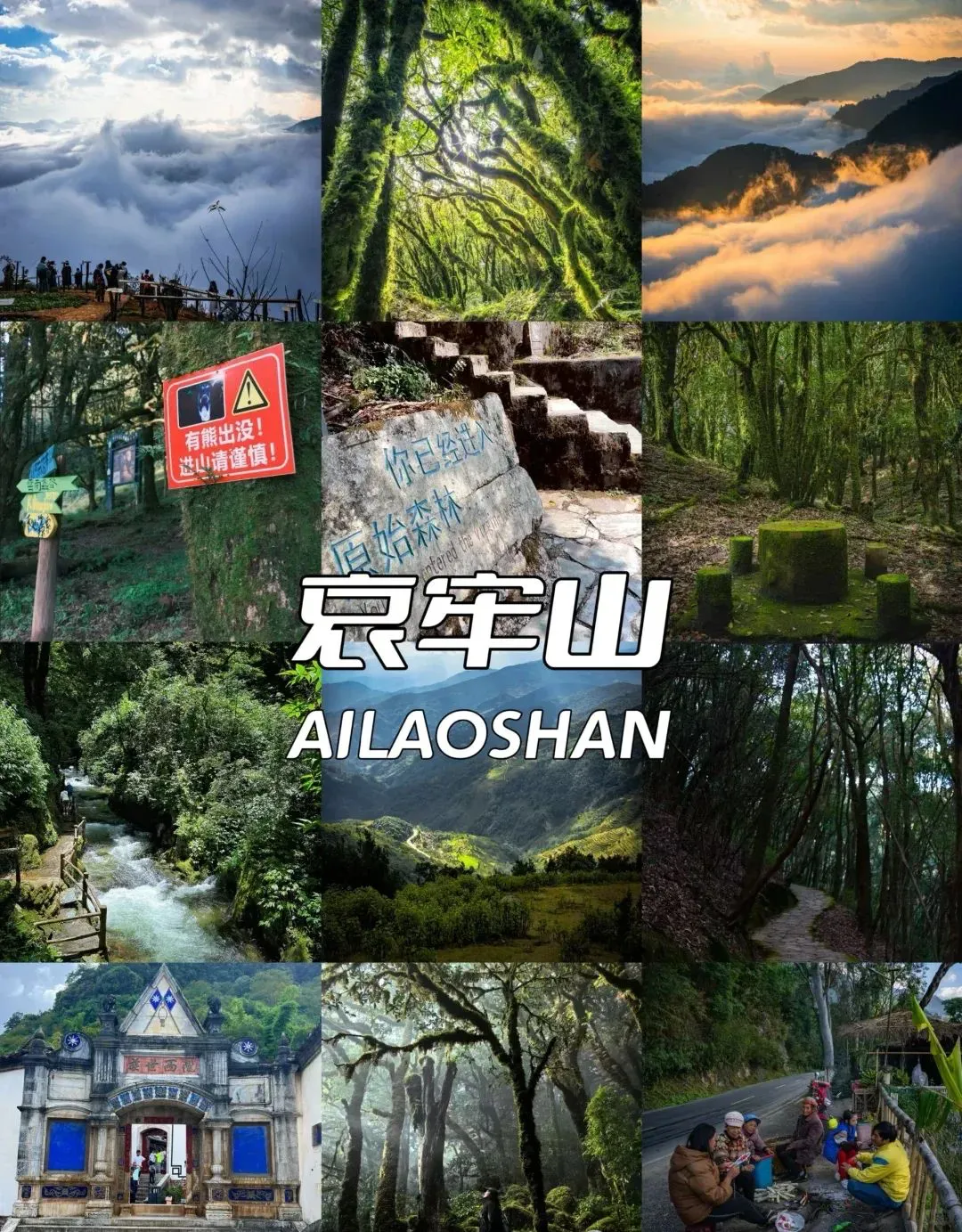 e7374197f9149e62006f23a0fab34abb-sz_3065691