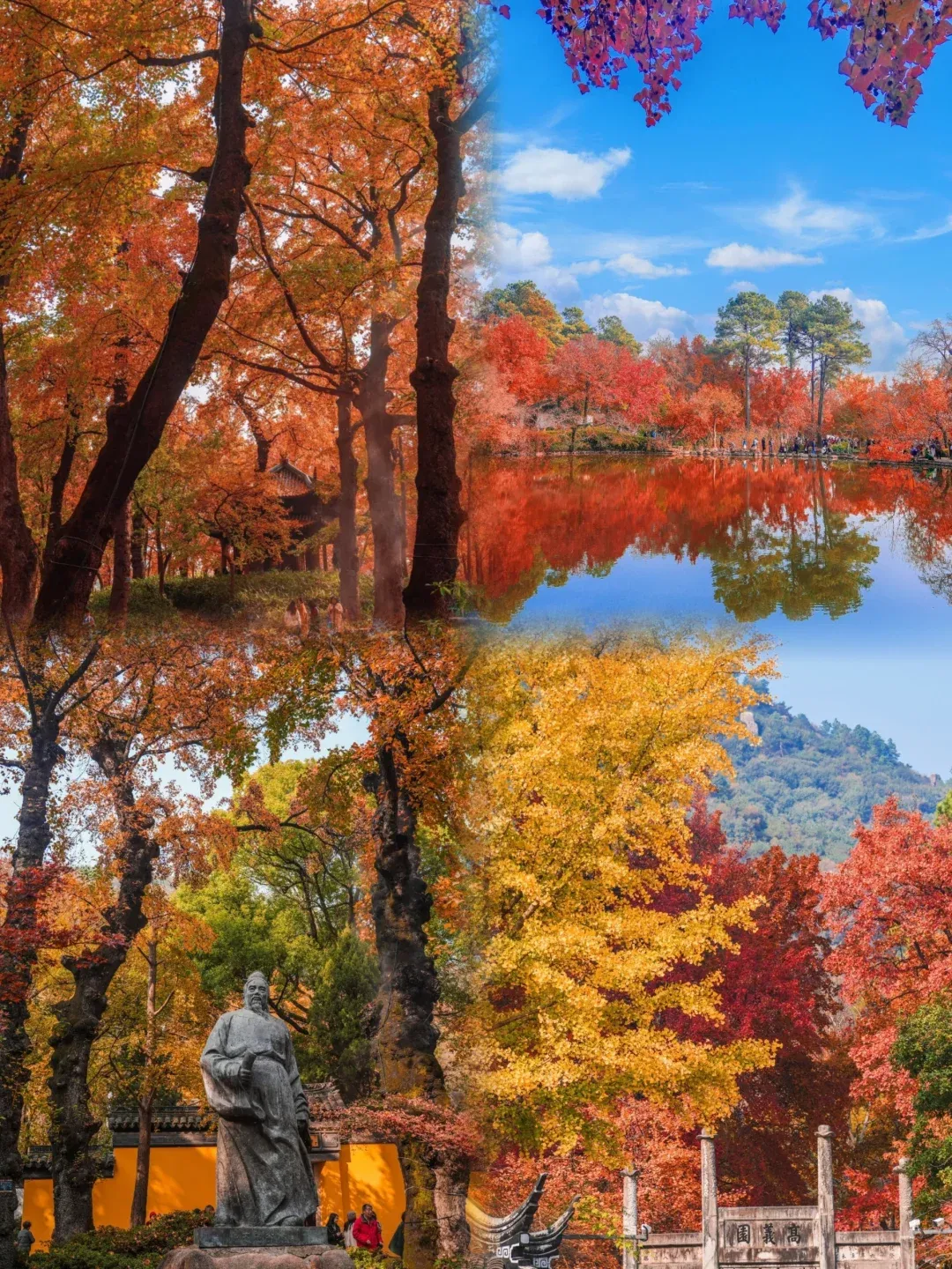 e7469a1efd6c9038db2ecfea277003fa-sz_4059001