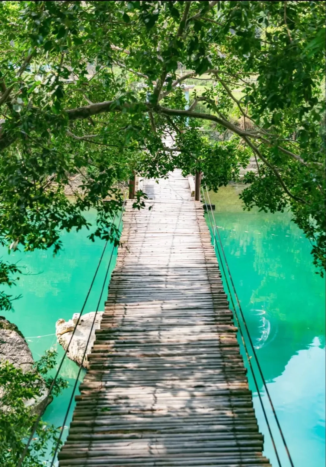 e75966ce2591a90e86654cccd008f91d-sz_3580029 e75966ce2591a90e86654cccd008f91d-sz_3580029