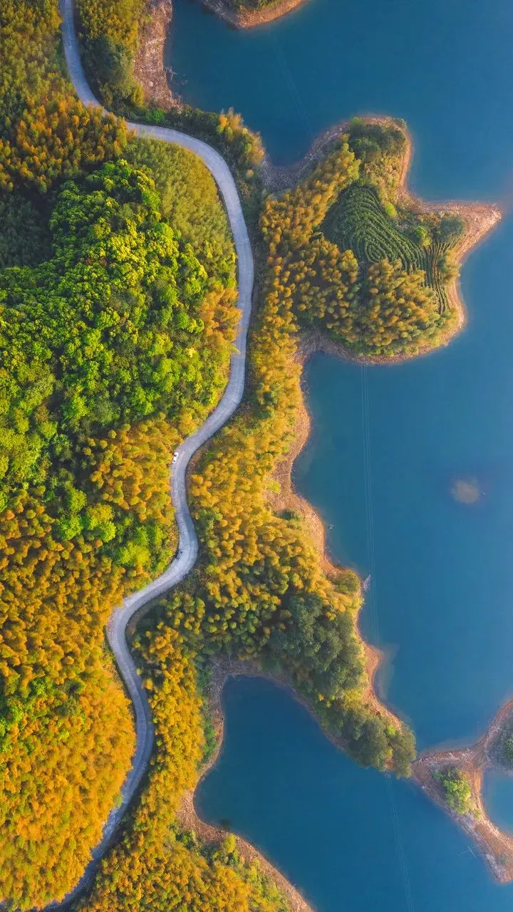 e771ae1427485170db9dc43d272eeccf-sz_211524 e771ae1427485170db9dc43d272eeccf-sz_211524