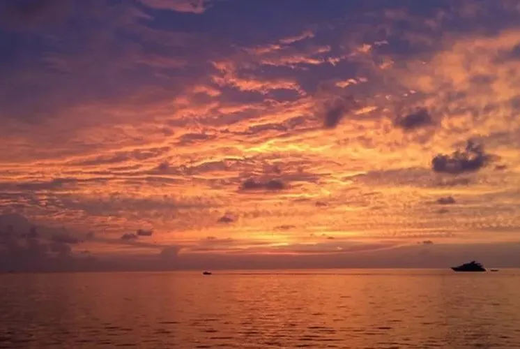 e7aa2eb82956c36c783e7a771777c44c-sz_50696 e7aa2eb82956c36c783e7a771777c44c-sz_50696