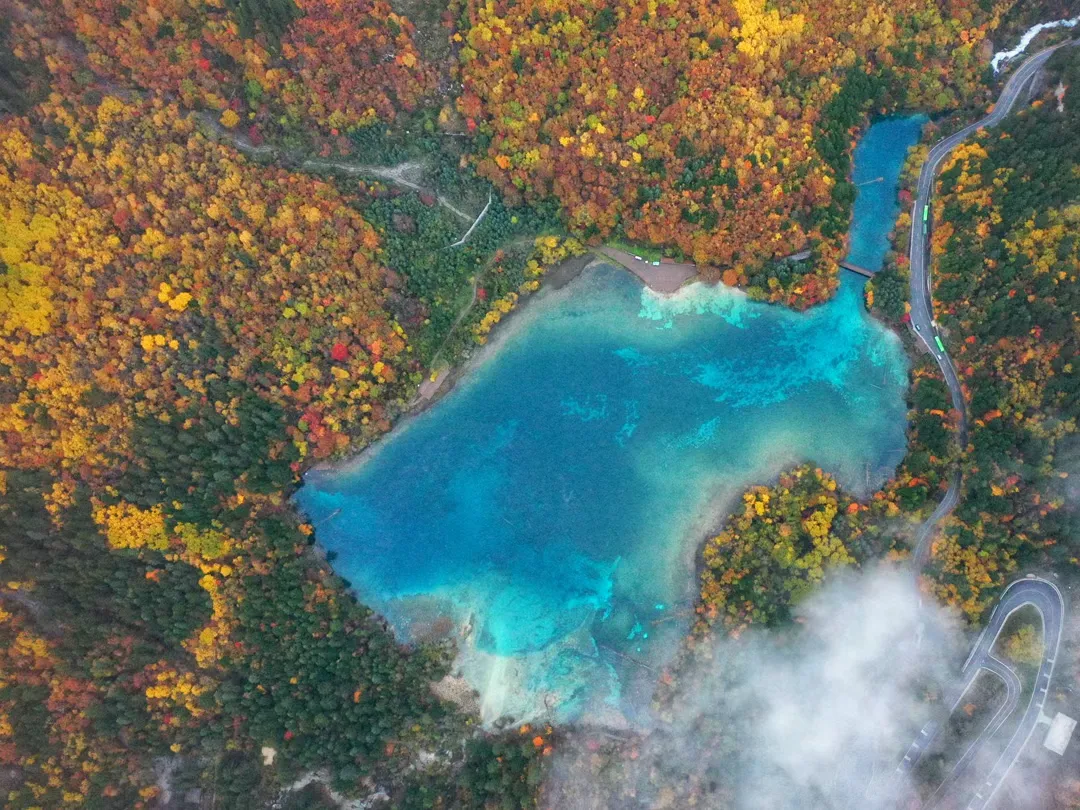 e7af705d9ecba52efea84b2d9164ccad-sz_2517578 e7af705d9ecba52efea84b2d9164ccad-sz_2517578