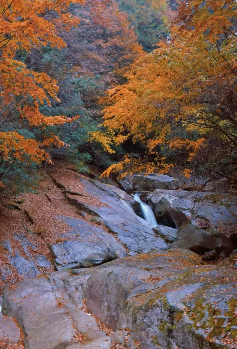 e7ed602da1bf6ce9dedb9f79d7e52a52-sz_2960723