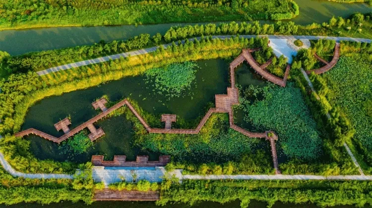 e7f4be0b0424e43ccd2da14993beb90b-sz_1241046