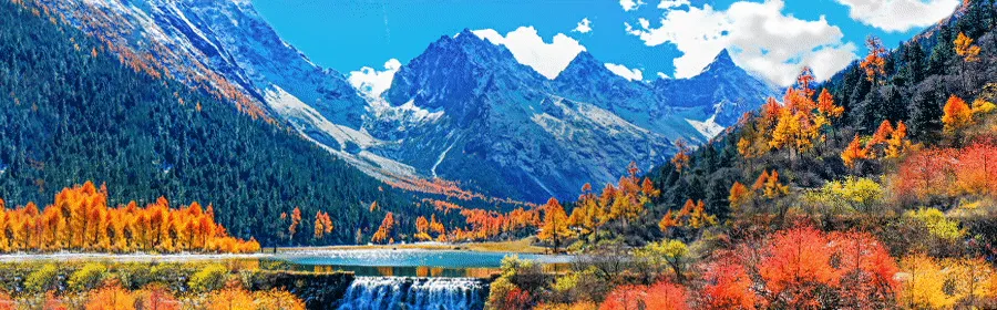 e85ac6815696e05ad372daeb7a015dc8-sz_279277 e85ac6815696e05ad372daeb7a015dc8-sz_279277