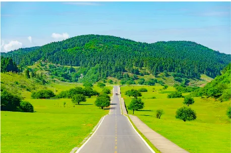 e8873c04c8d045ed2ca625d2b67e05de-sz_264950 e8873c04c8d045ed2ca625d2b67e05de-sz_264950