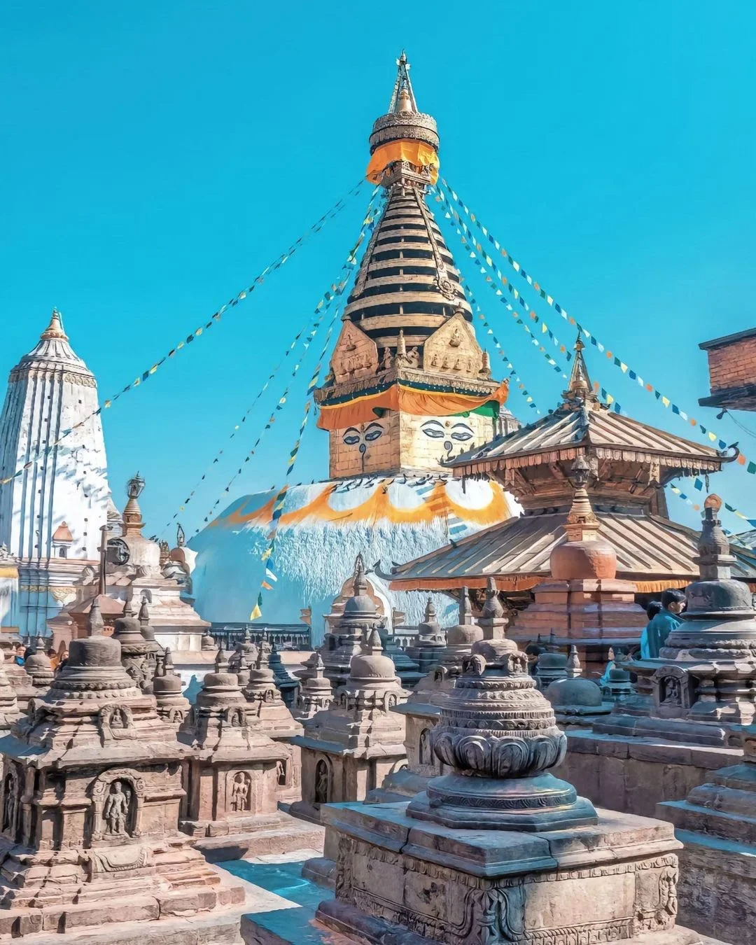 eVcjUZbsioekloDZ eVcjUZbsioekloDZ