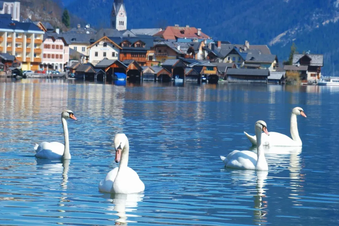 ea02c7257e8604d7a2b6c4657a6a6f7b-sz_2260786 ea02c7257e8604d7a2b6c4657a6a6f7b-sz_2260786