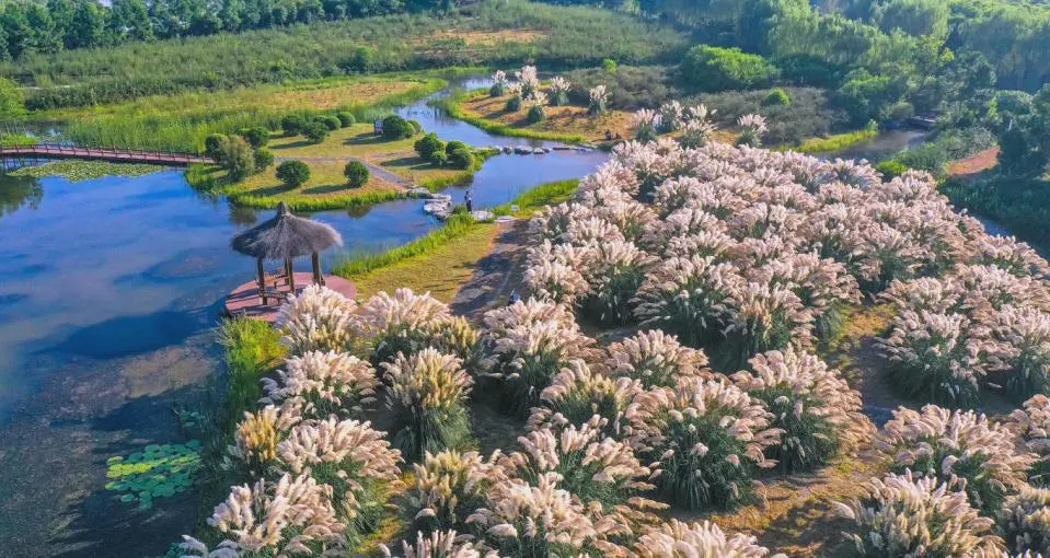 ea6070ec1c33cca8c65e8a4b135347ea-sz_132661 ea6070ec1c33cca8c65e8a4b135347ea-sz_132661