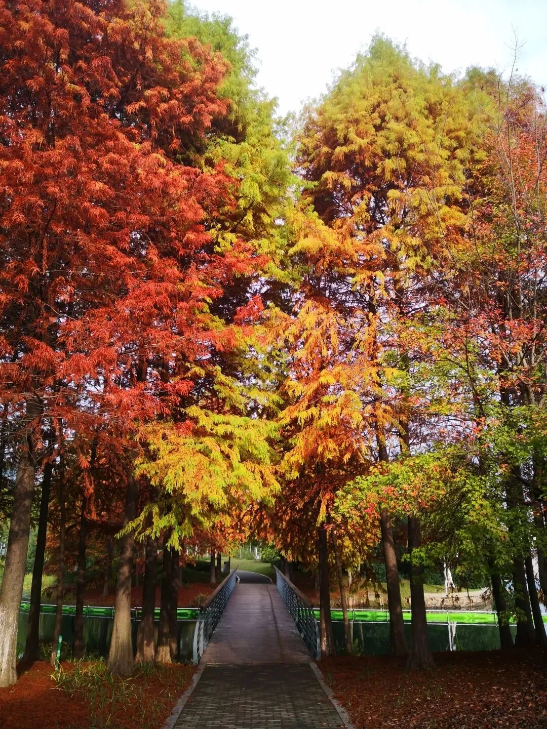 ea6cd539bb3be6eff14c0e22a4b0faaa-sz_514212 ea6cd539bb3be6eff14c0e22a4b0faaa-sz_514212