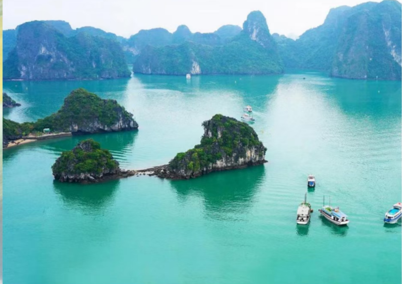 eb1e57ab71146a6152a8ff2bc00eca52 eb1e57ab71146a6152a8ff2bc00eca52