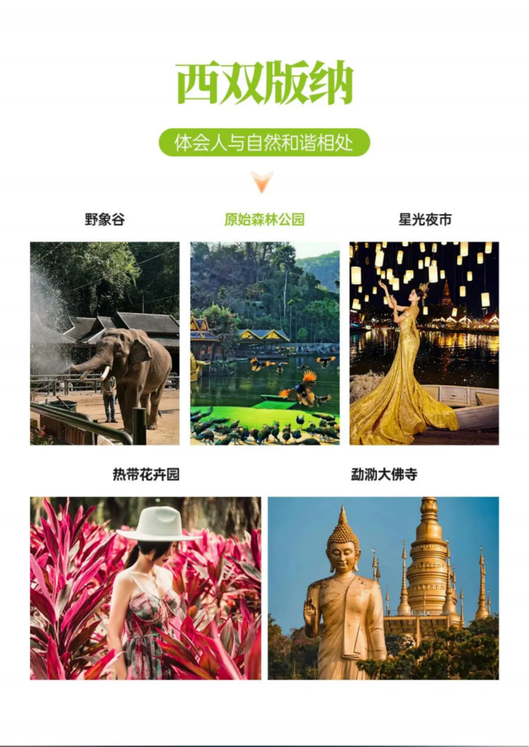 eb27c5f7d055b020e6ce7053d59e22eb-sz_2884647