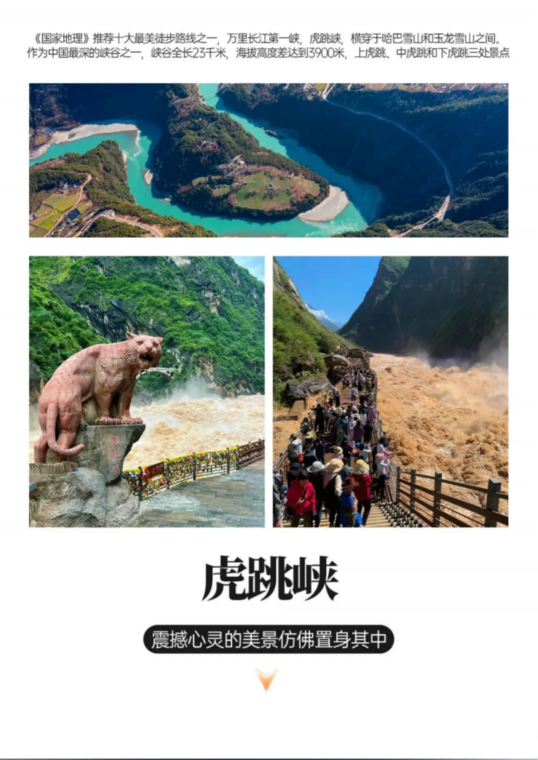 eb2ca49f6e94b9e7536a42068a7f2243-sz_2938722