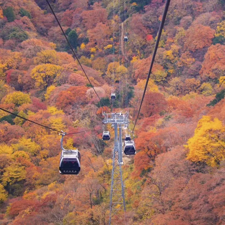 ❤光雾山之秋❤升级2+1用车.光雾山核心景区米仓山+阆中古城+汉中青木川古镇+广元剑门关+明月峡双卧8日游