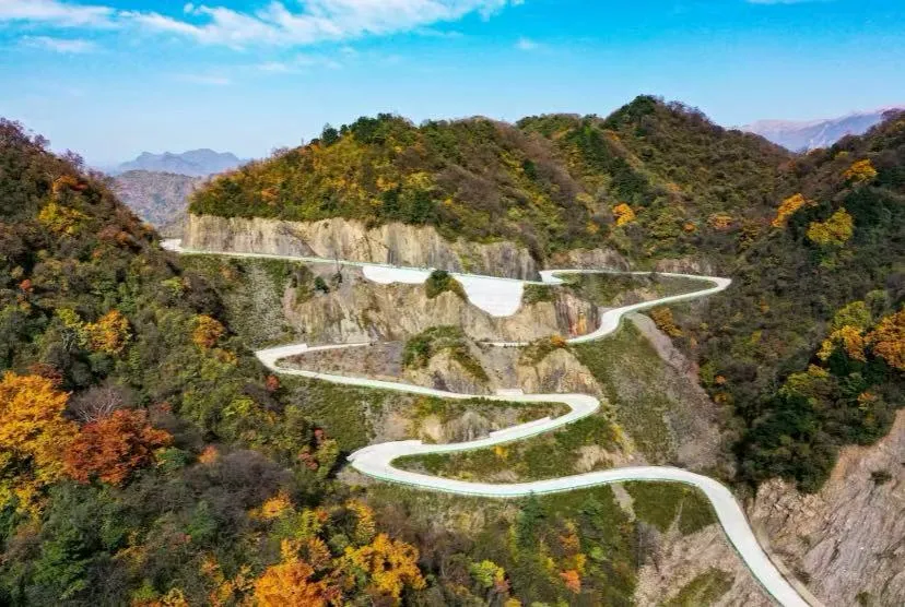 eba900af3d49e95fc49561eb9c059bf9-sz_1279245