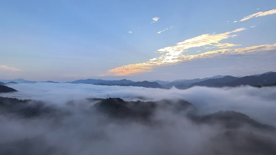 ebef0f163bb054e8dac9bb4dcce8e4e6-sz_1782993 ebef0f163bb054e8dac9bb4dcce8e4e6-sz_1782993