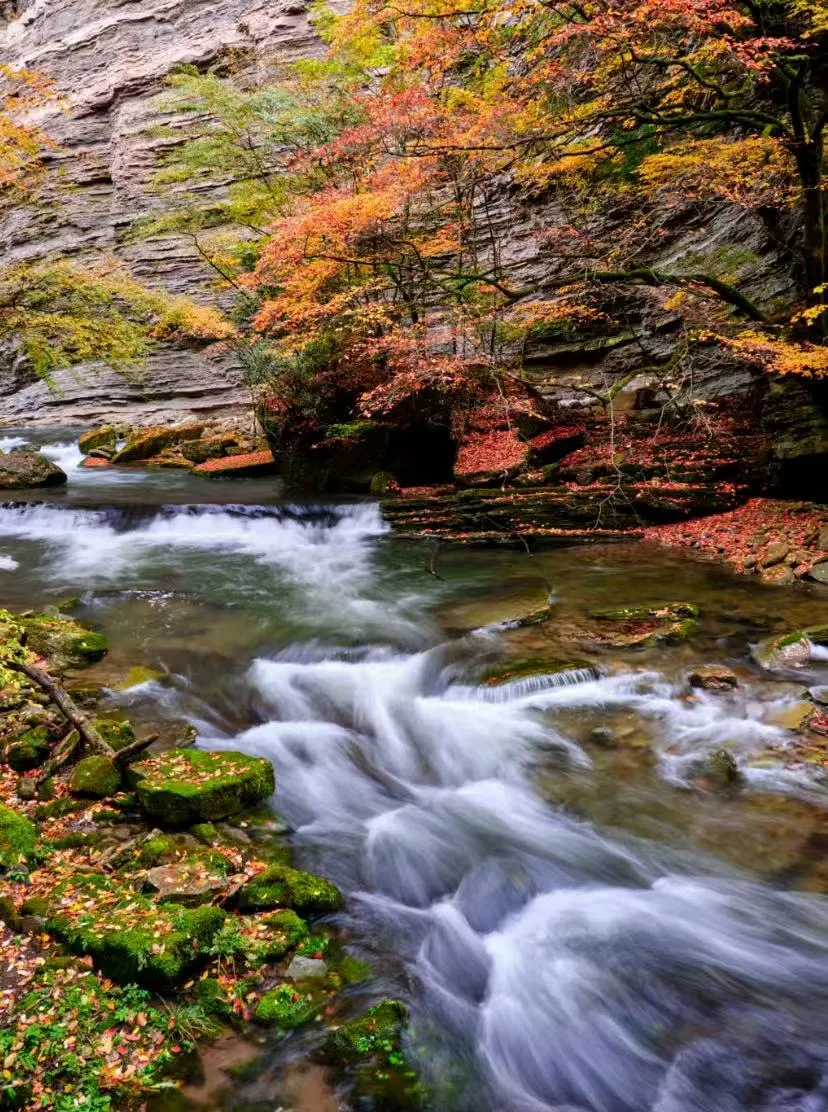 ebfa4cd2f7d488018be34b5a2f5da525-sz_2679551