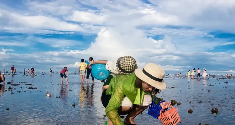 ec1cb72b402874685d69b940ba012f96-sz_642379-1 ec1cb72b402874685d69b940ba012f96-sz_642379-1