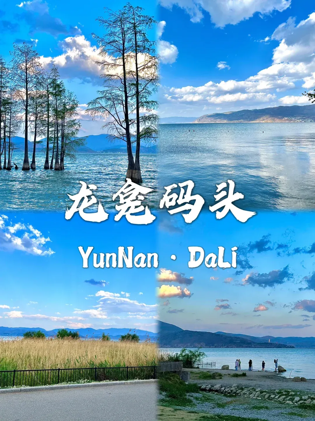 ec3bc5d4591dd5116fafa46469a88f94-sz_3160847 ec3bc5d4591dd5116fafa46469a88f94-sz_3160847