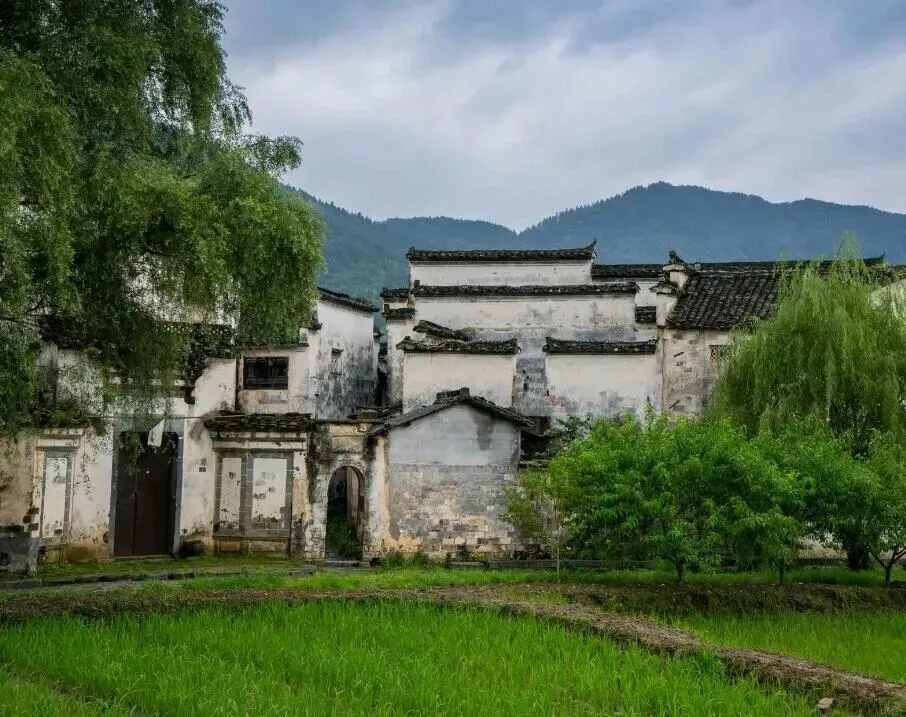 ec3c2d5429d208da2a42971b2eb6e80e-sz_138969 ec3c2d5429d208da2a42971b2eb6e80e-sz_138969