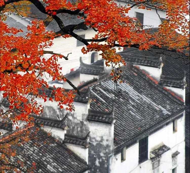 ec483c7016e3fc3f075282619c1dda03-sz_160428