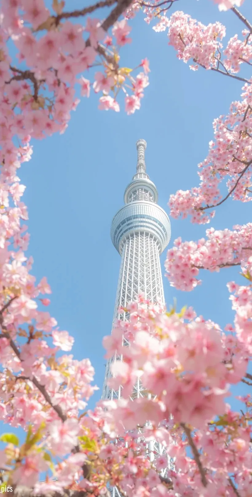 ec77e75b7036c4dfa534714220244ebd-sz_332602 ec77e75b7036c4dfa534714220244ebd-sz_332602