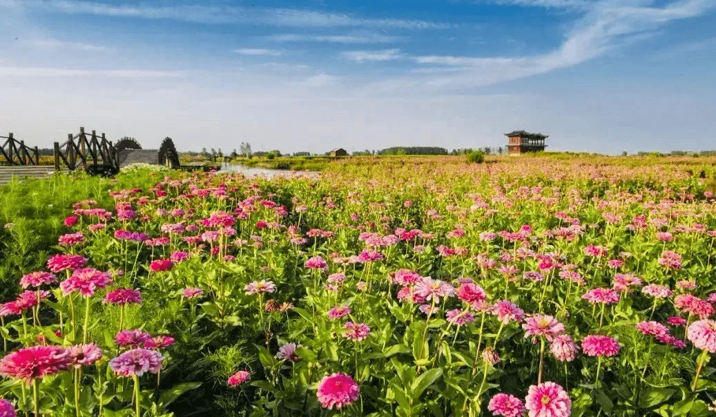 ecb8f20be09ec1ca2610a6de60a971d2-sz_1546558 ecb8f20be09ec1ca2610a6de60a971d2-sz_1546558