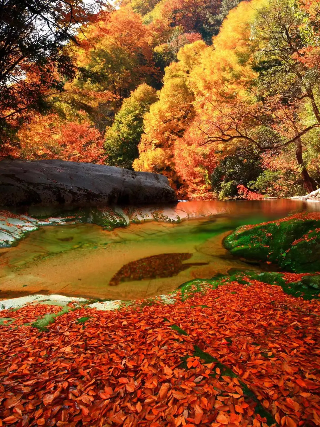 eceb5709c38fb38924c4338d50829bba-sz_672475 eceb5709c38fb38924c4338d50829bba-sz_672475