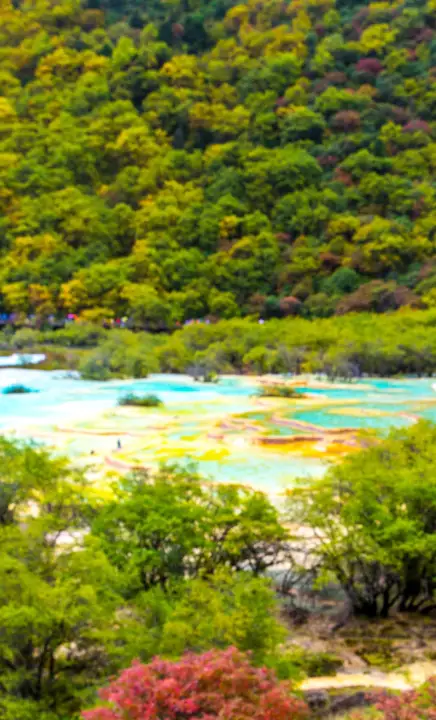 ed97a771d699c84e44c4466e7d96a1e8-sz_1223873-3