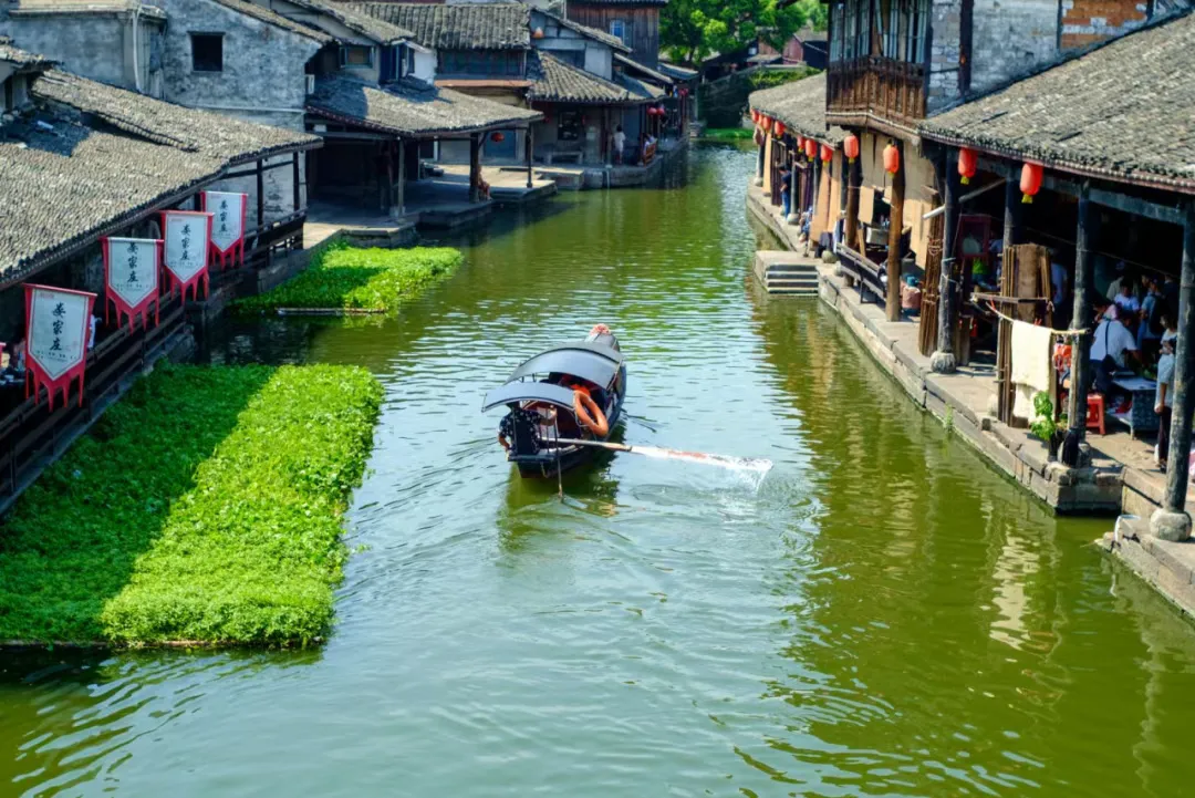 edad16d1d62d10bb8b4fcc76e507a1e4-sz_1974435