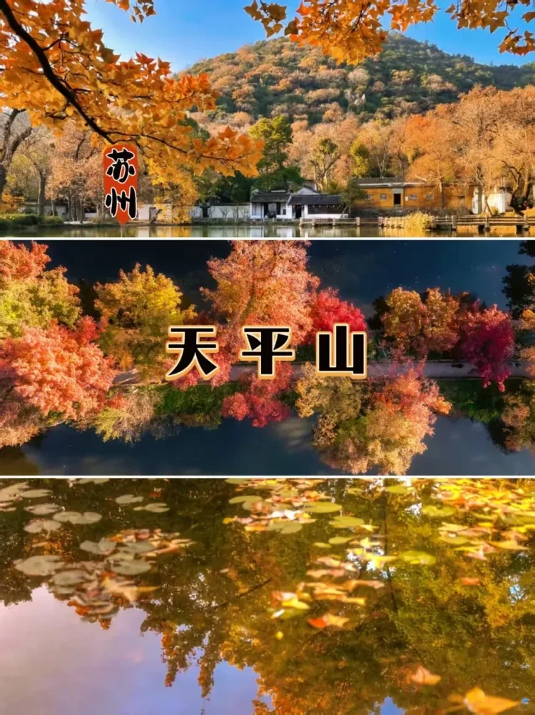 edc4ab510d26248abf3d1f4d75a975e7-sz_3840624 edc4ab510d26248abf3d1f4d75a975e7-sz_3840624