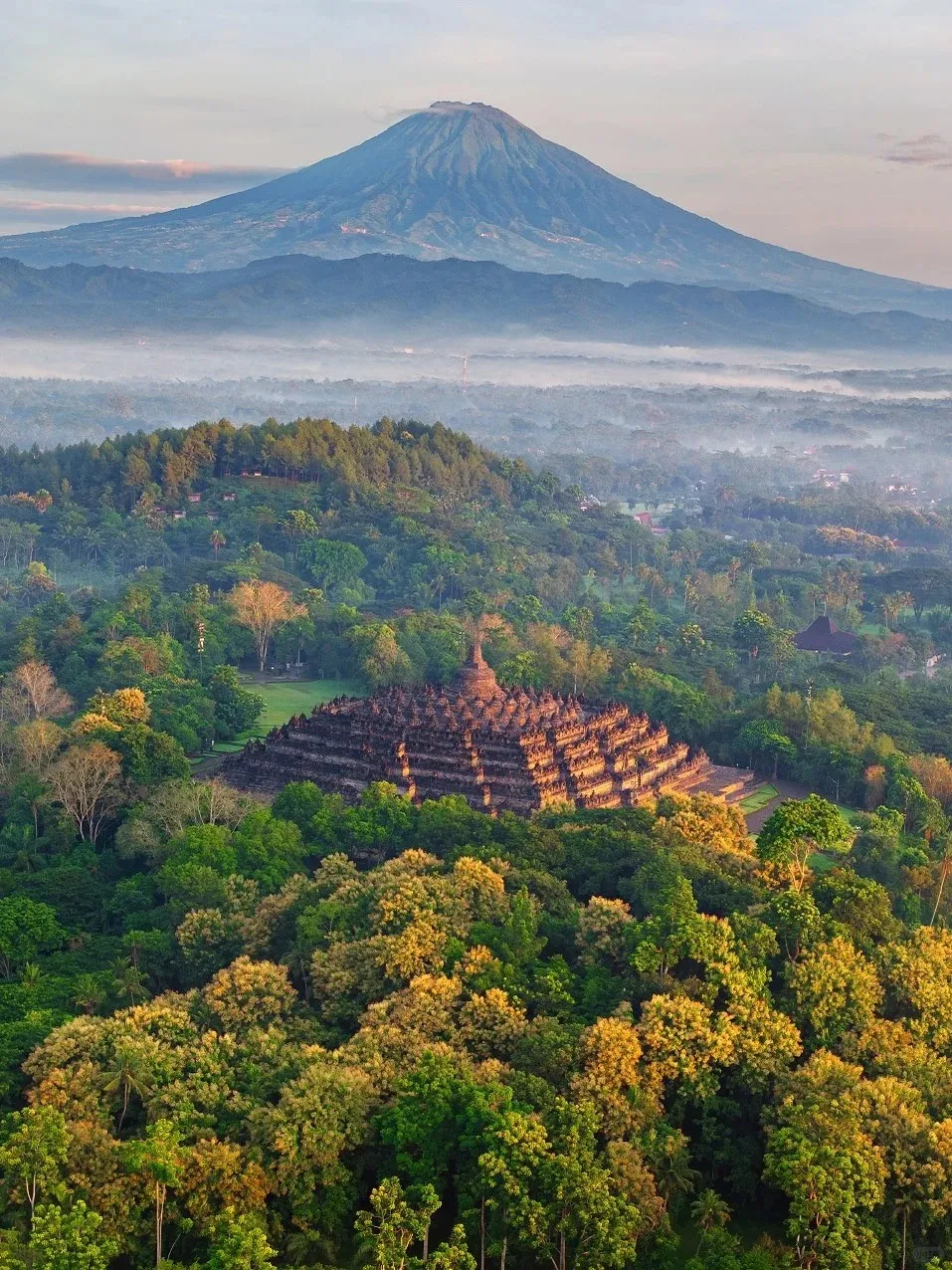 edec86a462c1c2cafcc8f47b77964ab8-sz_496096 edec86a462c1c2cafcc8f47b77964ab8-sz_496096