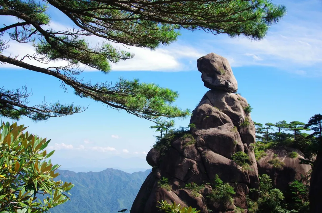 edee98678c66eba82efc59318cbb7af5-sz_343904 edee98678c66eba82efc59318cbb7af5-sz_343904