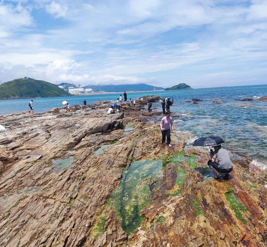 edfd2b013e2f4dd010bd30575f14609d-sz_3029744-2 edfd2b013e2f4dd010bd30575f14609d-sz_3029744-2