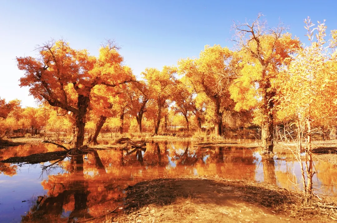 ee5f734679f49ada7c403b3dd947e0bb-sz_724919 ee5f734679f49ada7c403b3dd947e0bb-sz_724919