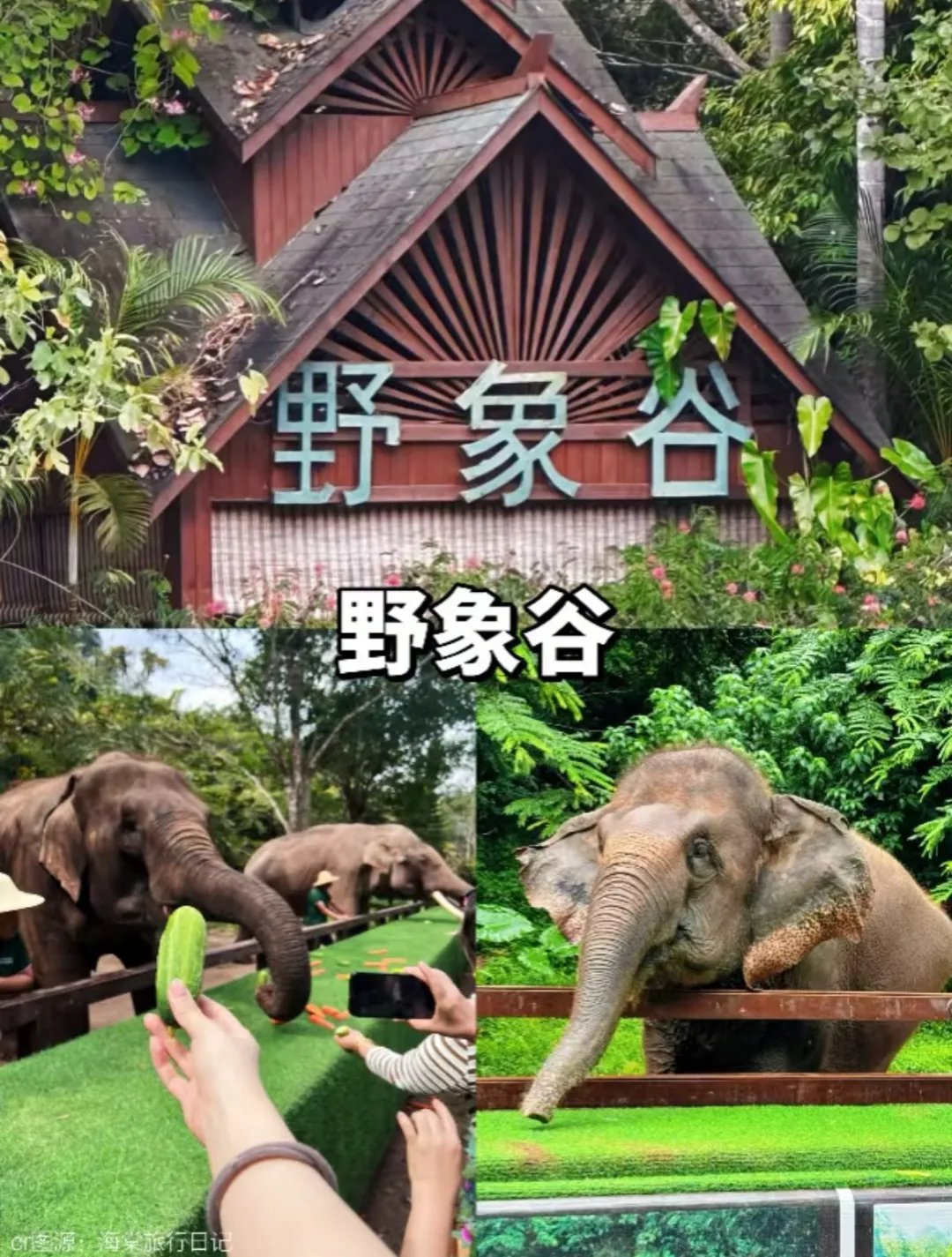 ee72fffc85df0933d2797a2f03a01341-sz_530903 ee72fffc85df0933d2797a2f03a01341-sz_530903