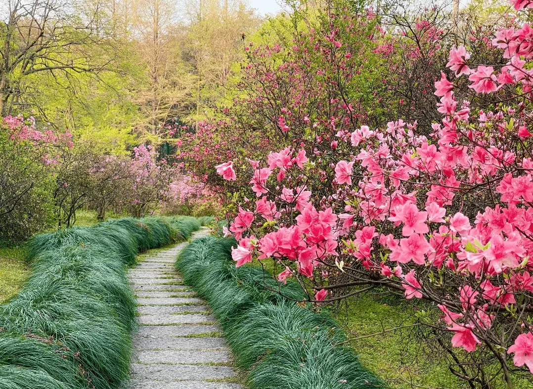 ee7b2c043e257547047d889c06091b0a-sz_2683734-1 ee7b2c043e257547047d889c06091b0a-sz_2683734-1