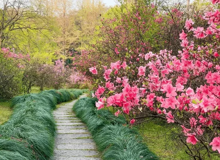 ee7b2c043e257547047d889c06091b0a-sz_2683734