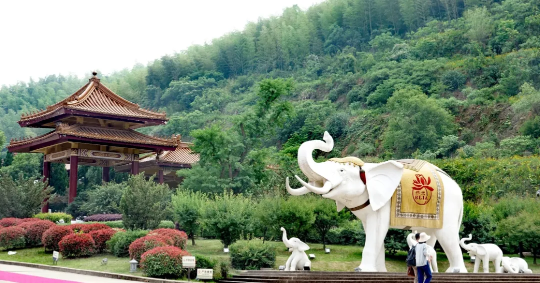 eea1e2e6f783386787997a1ba65f5bd4-sz_1469640-4 eea1e2e6f783386787997a1ba65f5bd4-sz_1469640-4