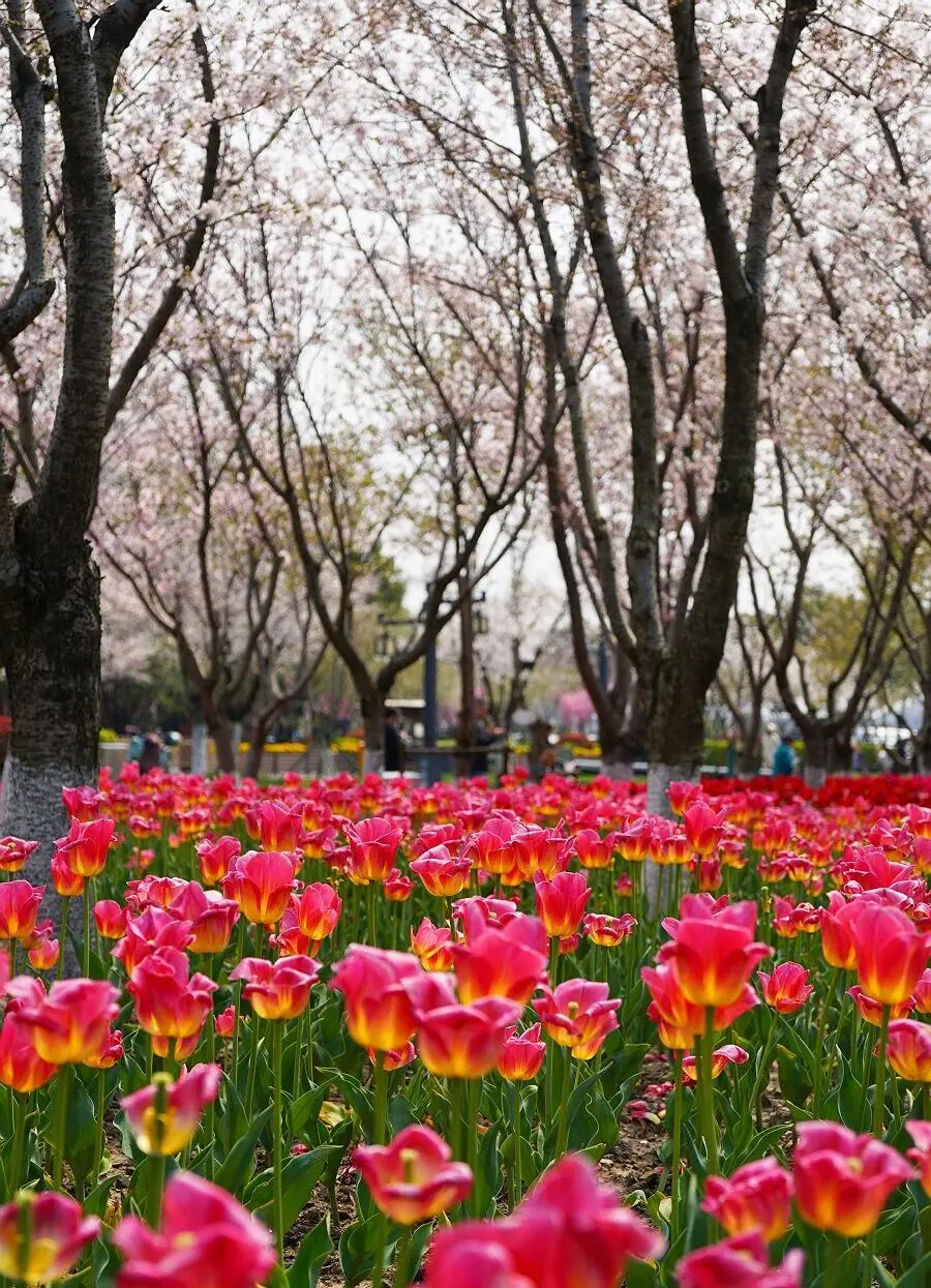 eec6cfb5b5beb46fbad3a69363bb1a62-sz_273728 eec6cfb5b5beb46fbad3a69363bb1a62-sz_273728