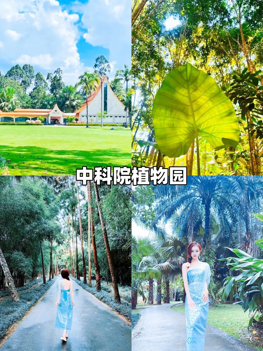 eed4930e1c05a4d03ae1d005ae3ca7e0-sz_413984-1 eed4930e1c05a4d03ae1d005ae3ca7e0-sz_413984-1