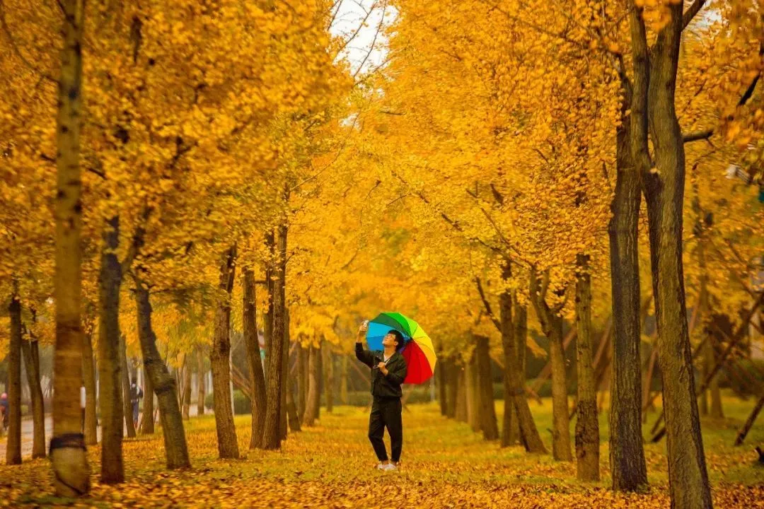 eeea9e0e6c8b0e653449c5600c904673-sz_190827