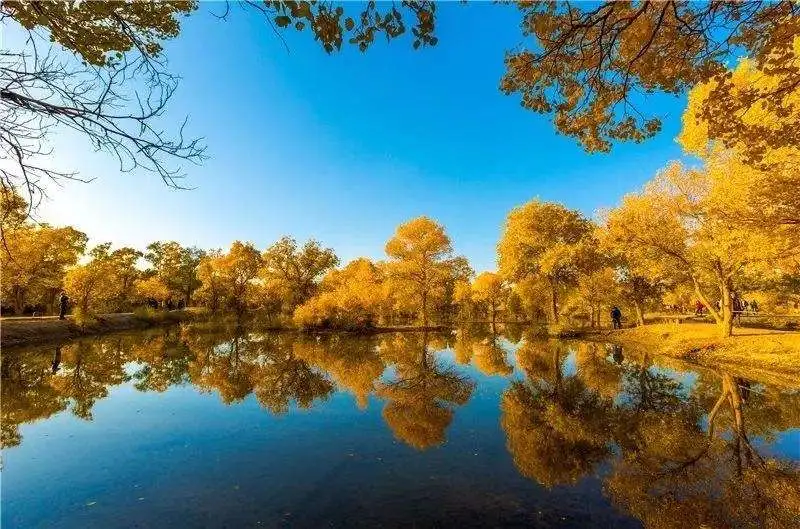 ef03e62c380ca8116fa0b8305b634f55-sz_88979