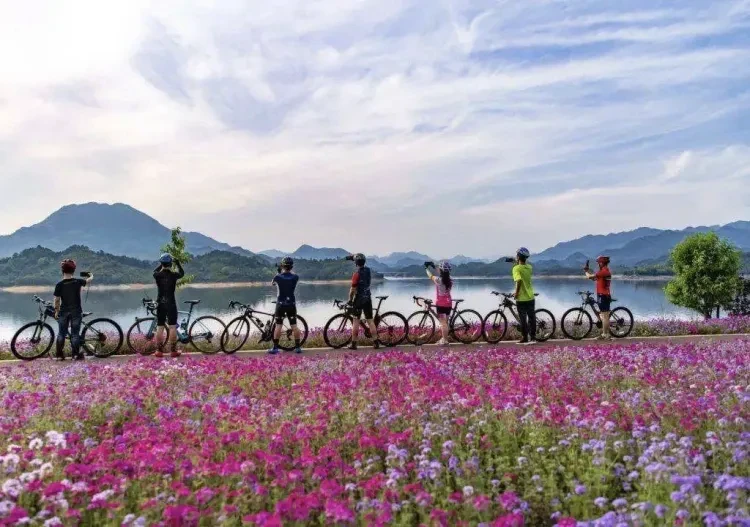 ef1d11bf2843b408312bb54638b82780-sz_1425143 ef1d11bf2843b408312bb54638b82780-sz_1425143