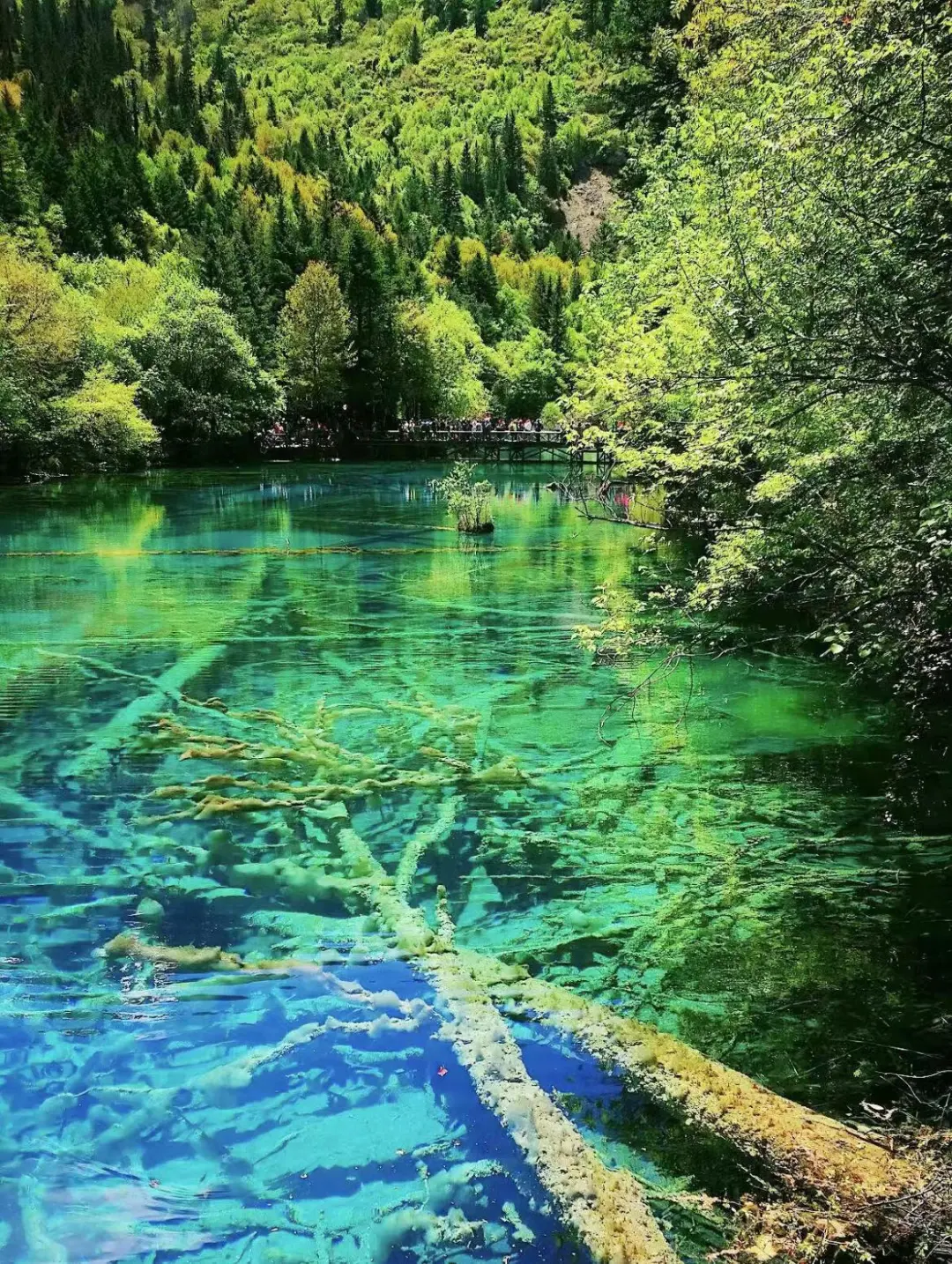 ef25a63d6f46792aa515412c1afae380-sz_597378 ef25a63d6f46792aa515412c1afae380-sz_597378