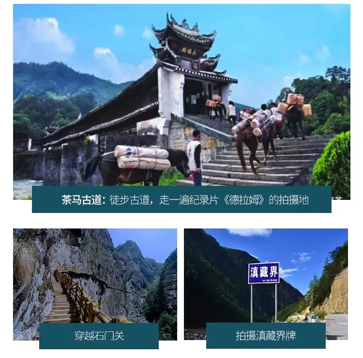 ef5bbd00f057f8522a58a65dda1fec7c-sz_186321 ef5bbd00f057f8522a58a65dda1fec7c-sz_186321