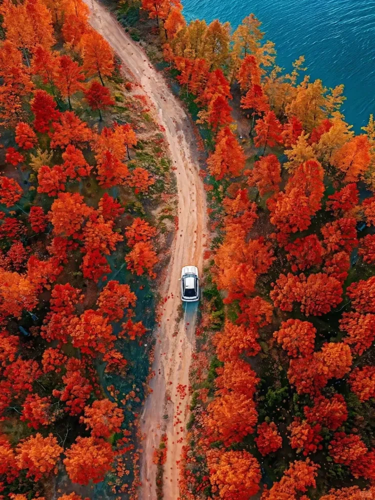 ef9a78d614d626b18a6b9fa493cdf7f4-sz_4307478 ef9a78d614d626b18a6b9fa493cdf7f4-sz_4307478