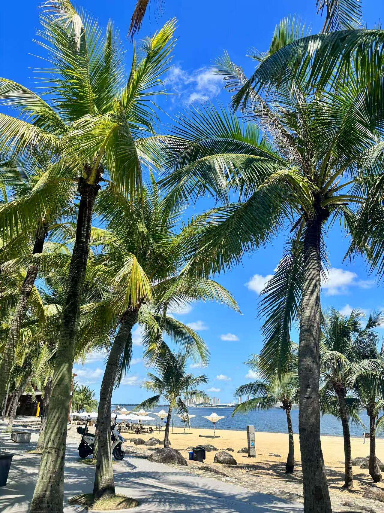 efPAnPTVPVeBOOSW efPAnPTVPVeBOOSW